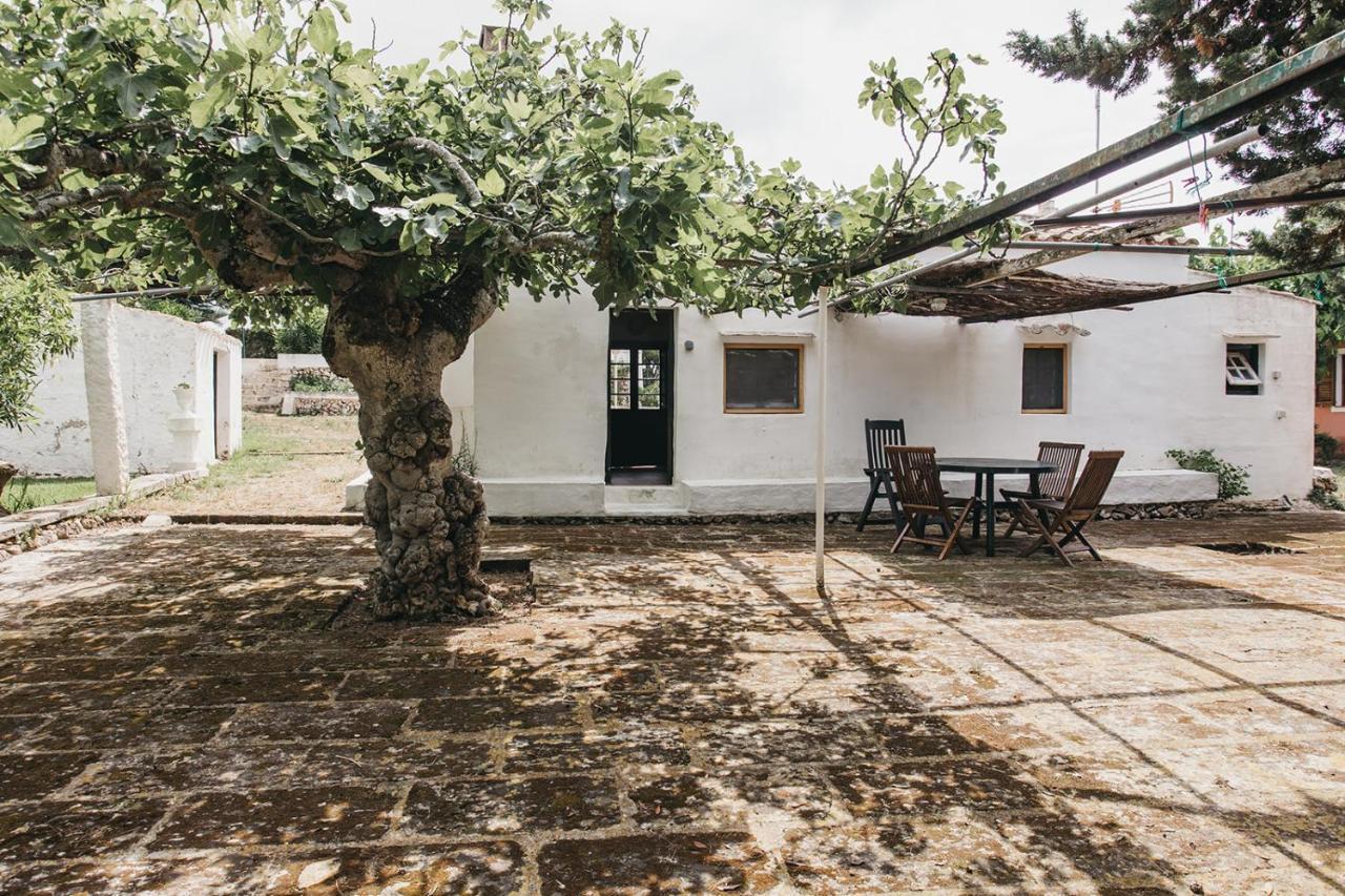 Agroturismo Son Triay Ferreries Exteriér fotografie